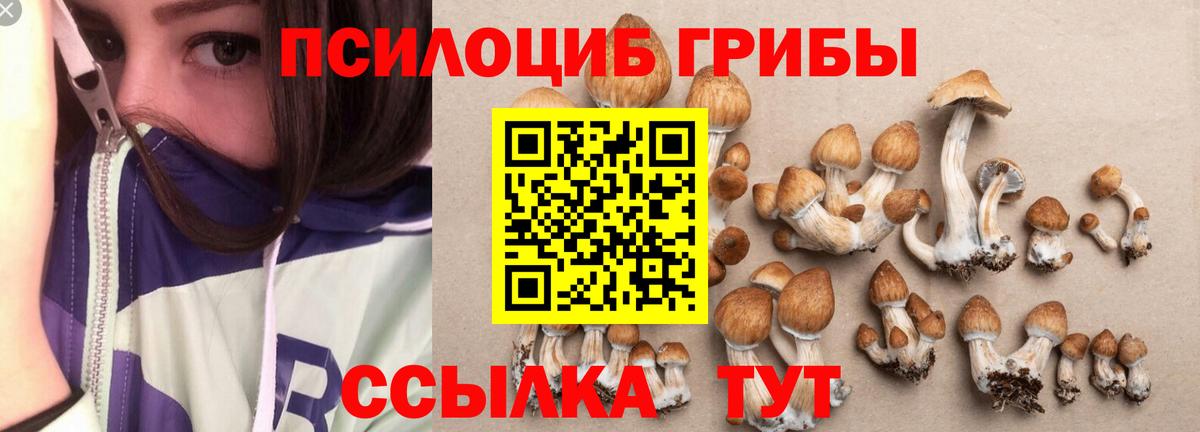 Екатеринбург  Псилоцибиновые грибы Psilocybe  Вход с VPN 