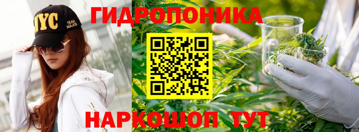 Марихуана Ganja  МАРИХУАНА SATIVA & INDICA  Вход с VPN  Екатеринбург  Конопля конопля 